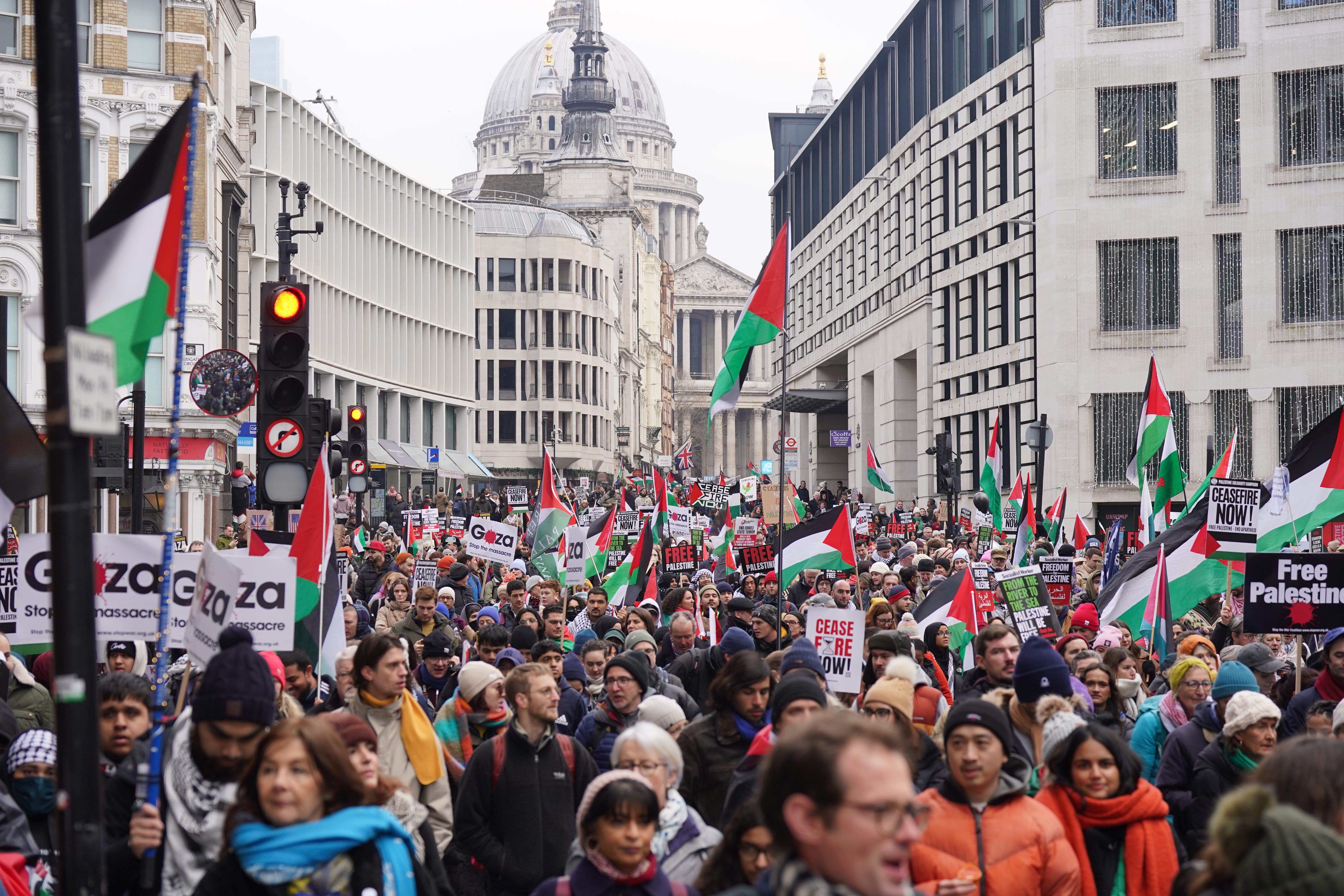 Protesters during a National March for Palestine in central London (Lucy North/PA)