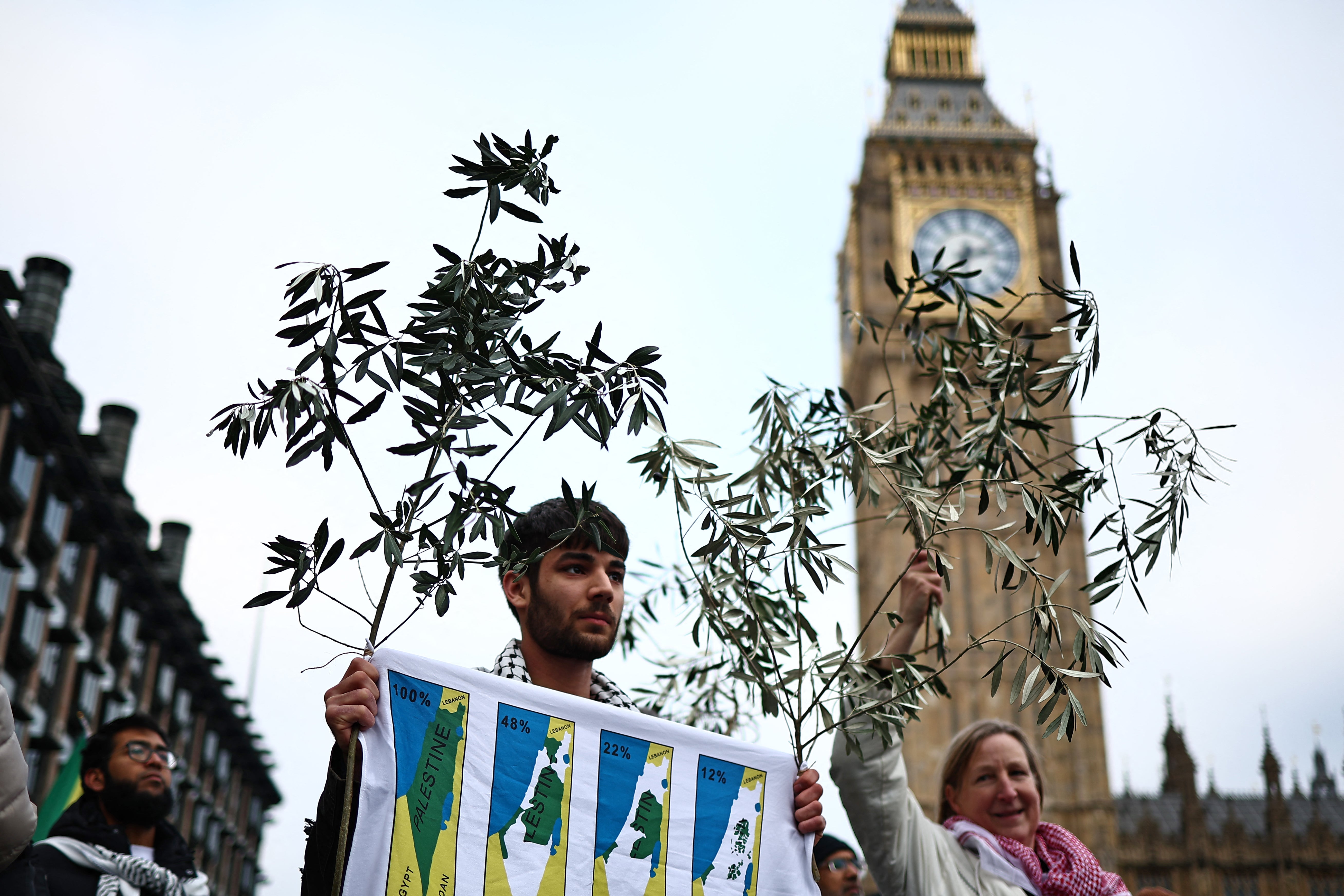 Pro-Palestinian activists and supporters hold olive branches as peace symbols
