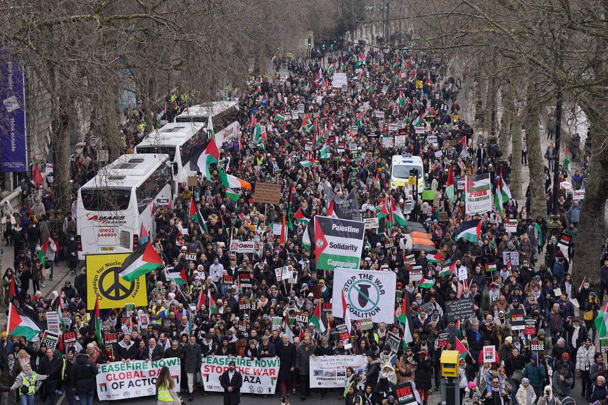 Thousands demand immediate ceasefire in Gaza at London pro-Palestinian ...
