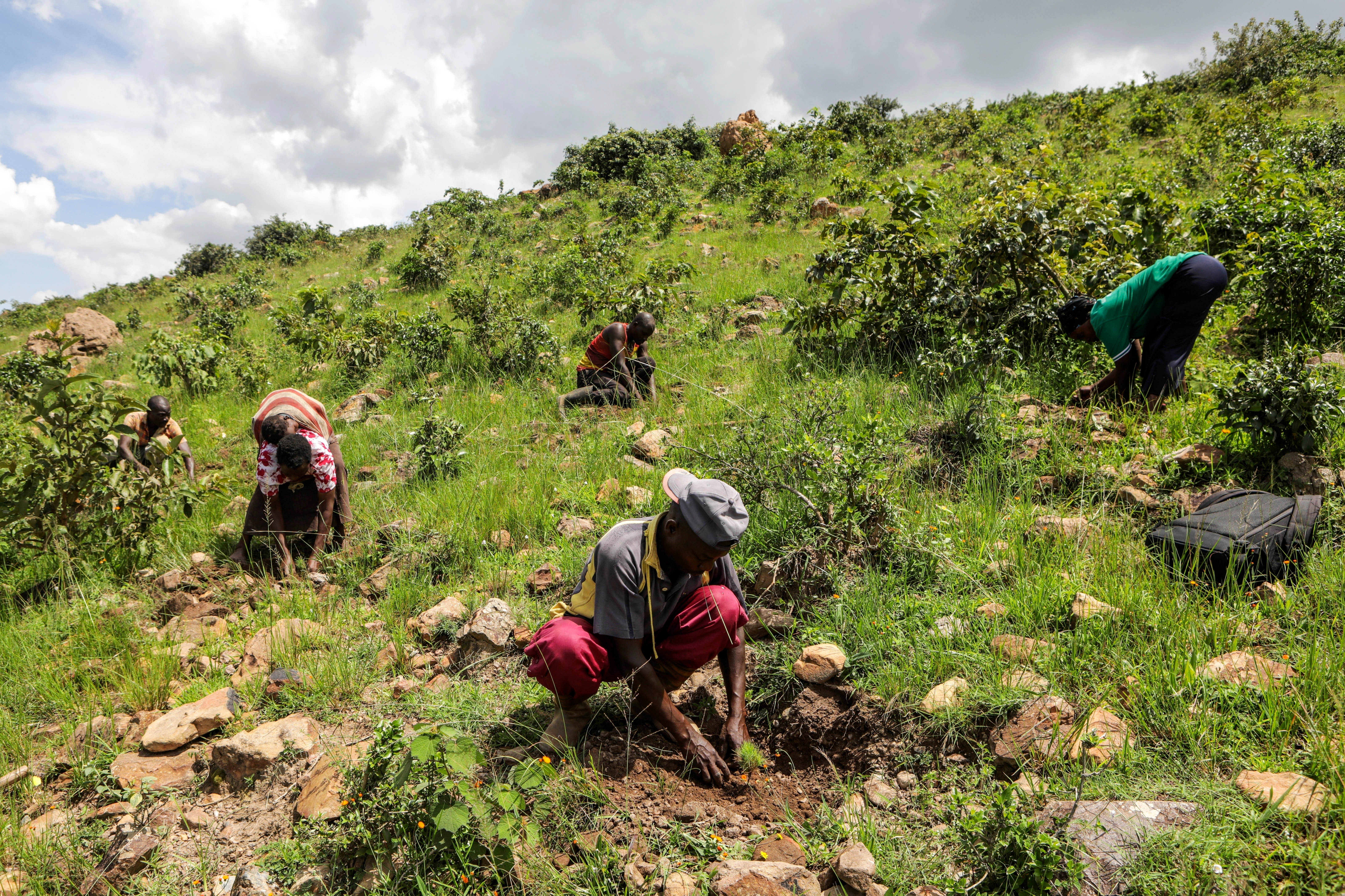 Uganda Reforestation Refugees