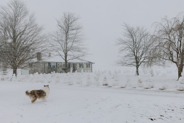 Arctic blast bears down as more than 200 million Americans under threat ...