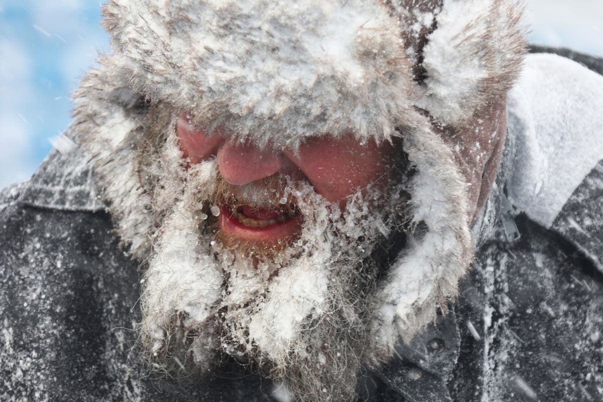 Arctic freeze continues to blast huge swaths of the US with sub-zero temperatures - Vimarsana News