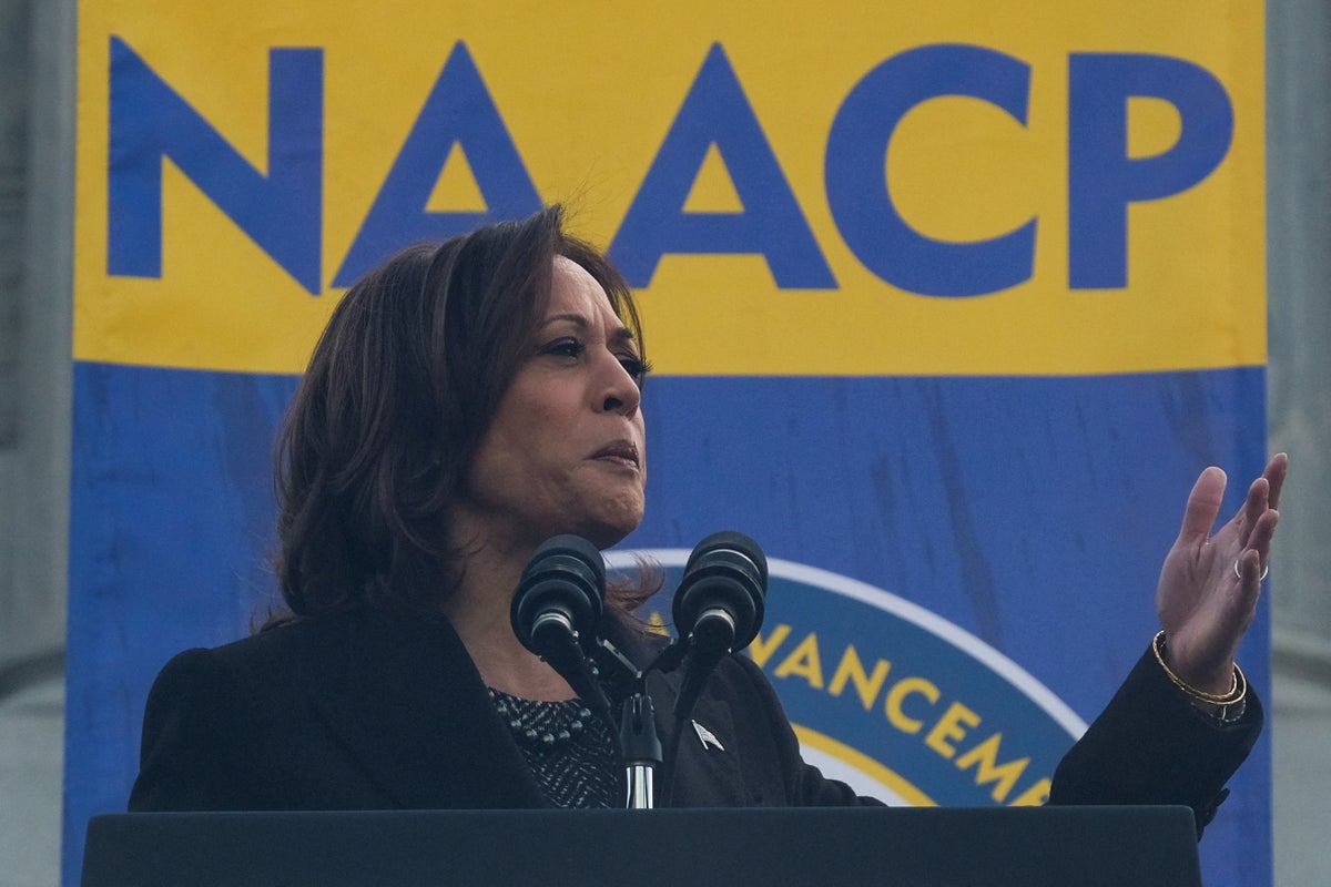 Is Kamala Harris a liability or a secret weapon? What Biden campaign insiders really think
