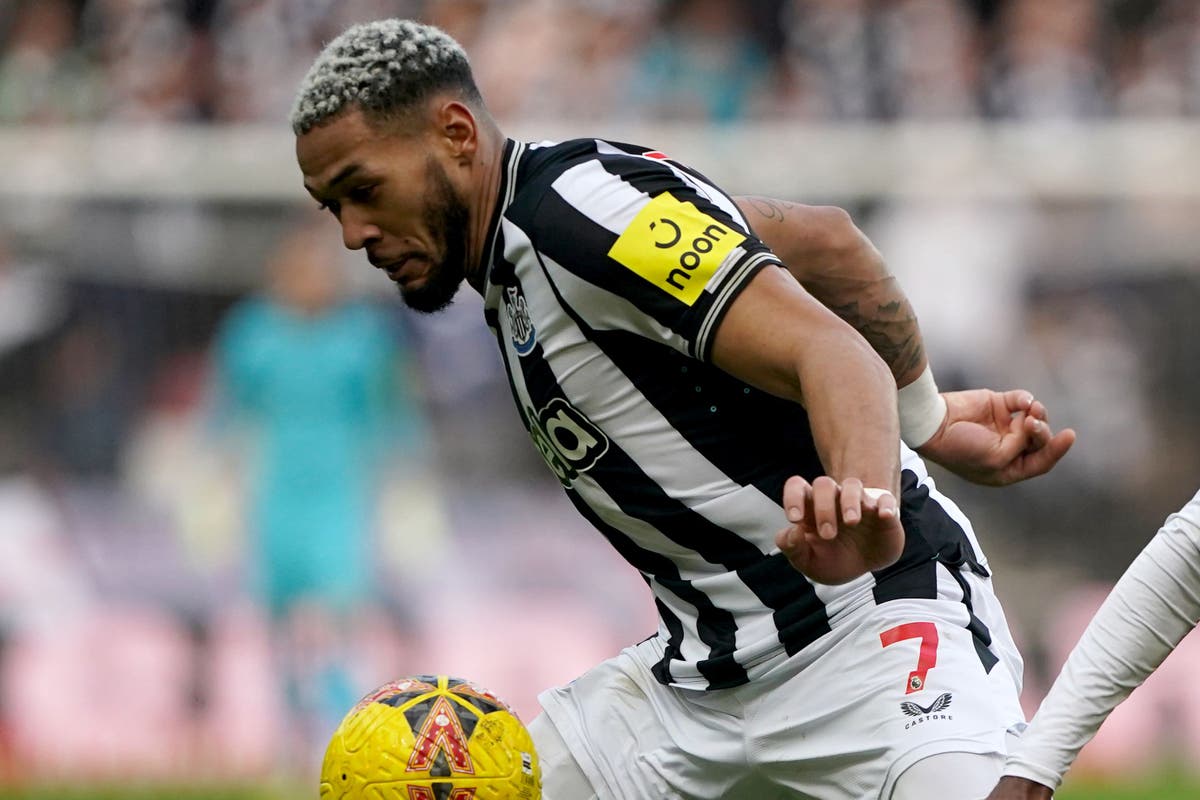 Newcastle brace for prospect of losing Joelinton for rest of season if op needed