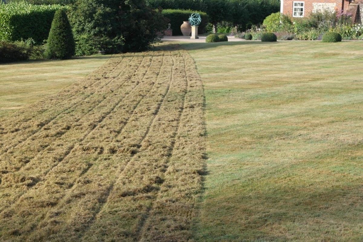Your month-by-month guide to keep your lawn looking lush