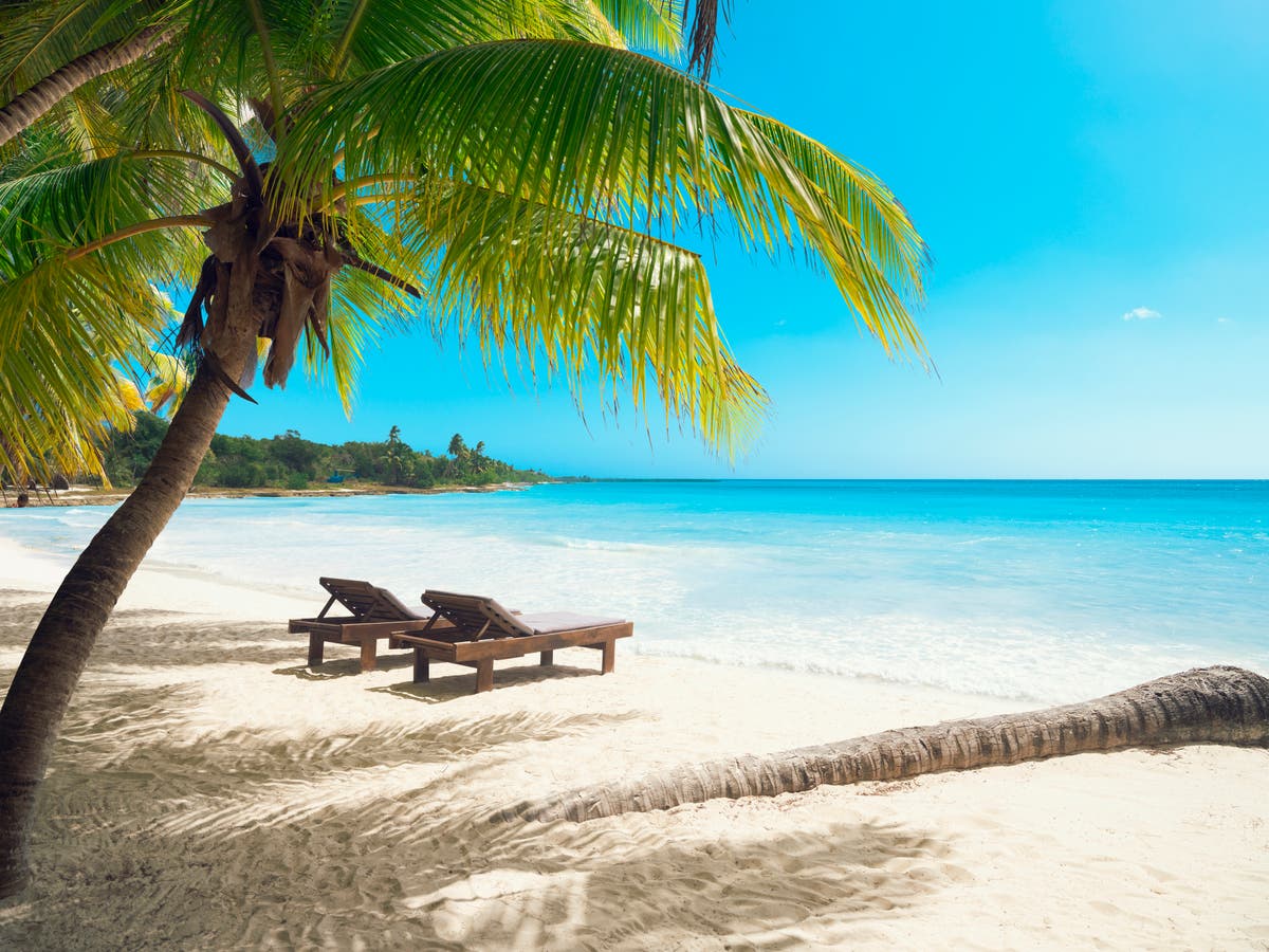 January travel sales 2024: Deals on flights, holidays and packages - Vimarsana News