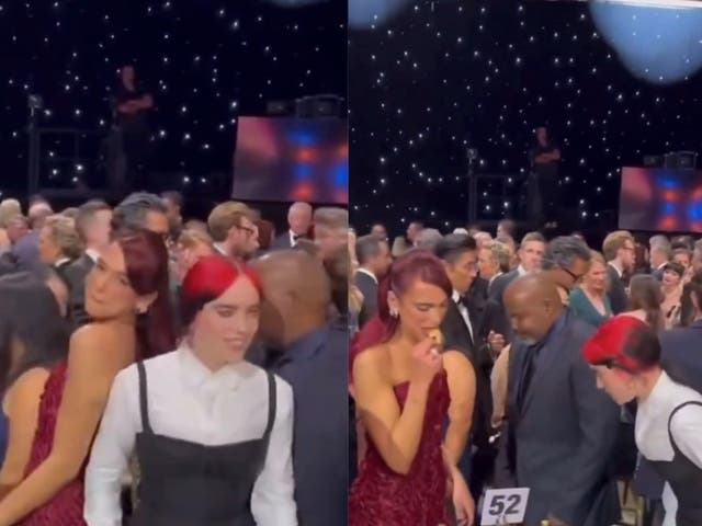 <p>Awkward moment Billie Eilish accidentally snubs Dua Lipa at Critics Choice Awards</p>