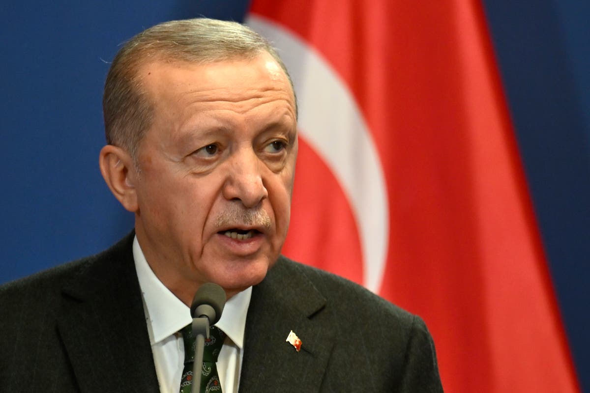 Erdoğan, Suriye ve Irak'taki Kürt gruplara yönelik operasyonları genişletme sözü verdi