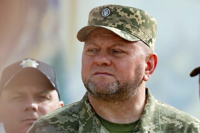 <p>Commander-in-Chief of Ukraine's Armed Forces Valeriy Zaluzhny</p>