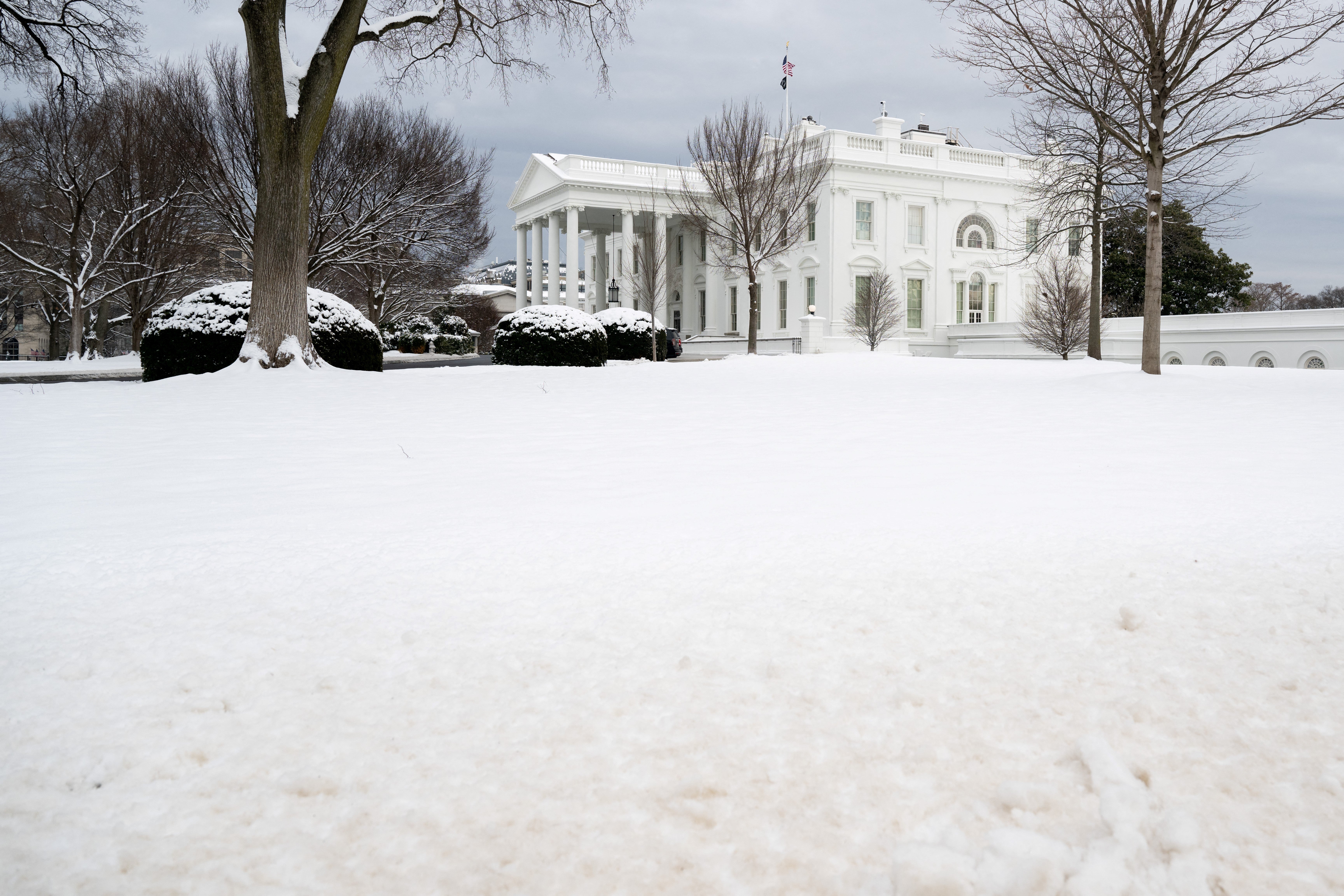 The North Lawn of the White House in Washington, DC