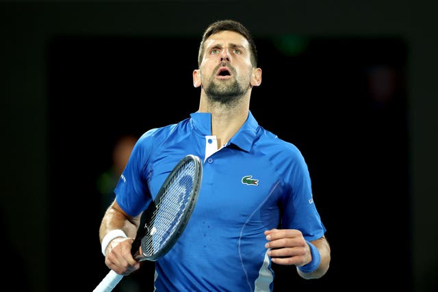 <p>Djokovic was transformed after challenging the heckling fan  </p>