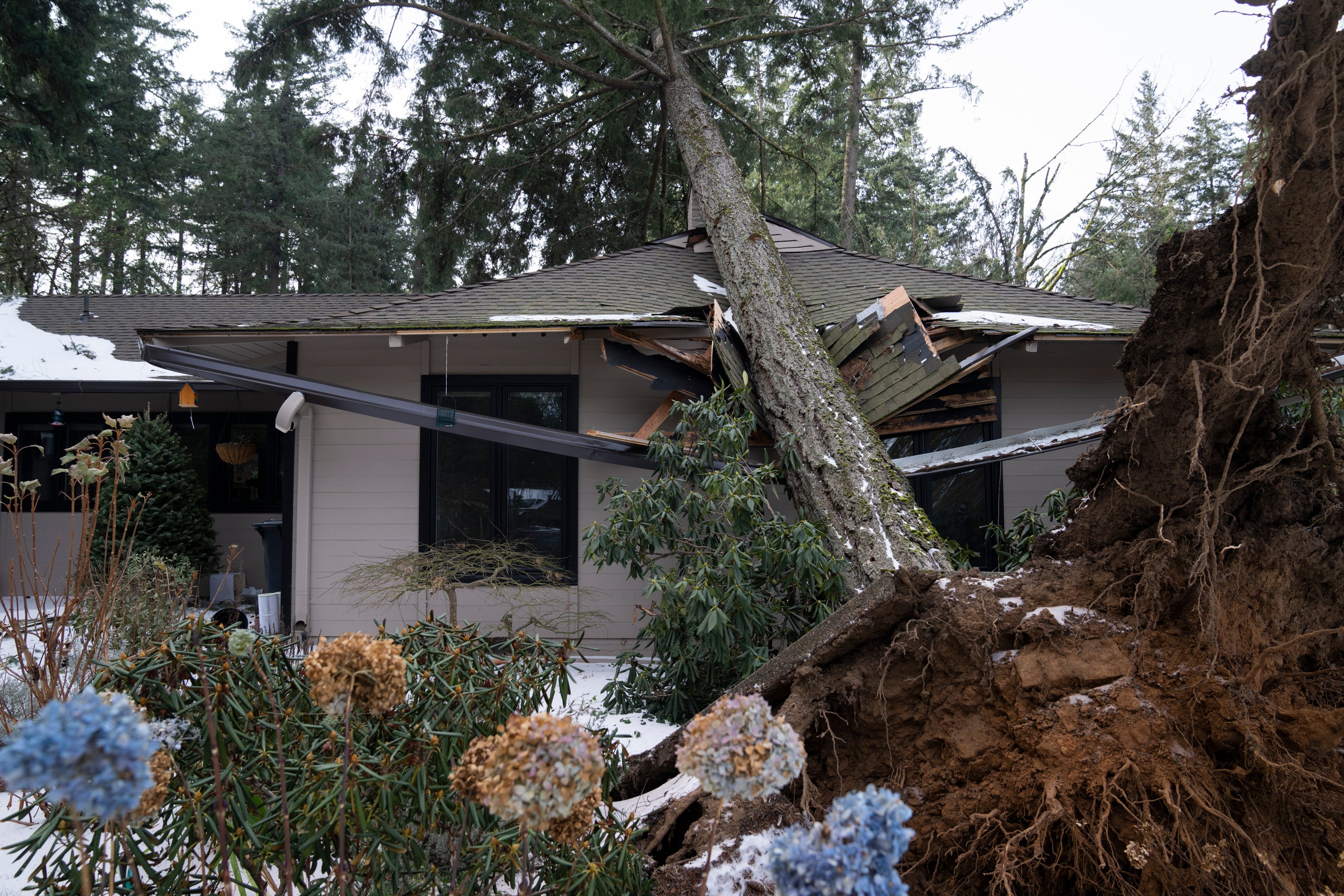 A tree rests on top of a house after it fell during an ice storm in Lake Oswego, Oregon earlier this week