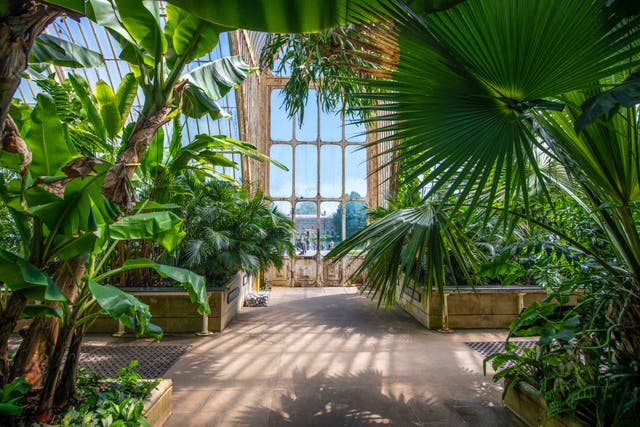 <p>The Palm House at the Royal Botanic Gardens in Kew, London has made the list of culture heritage preservation projects for 2024 </p>