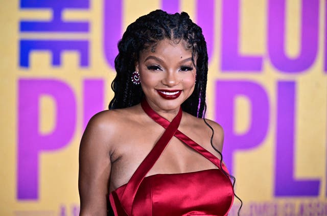 <p>Halle Bailey at the world premiere of ‘The Color Purple’ at the Academy Museum in Los Angeles</p>