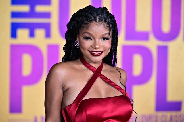 <p>Halle Bailey at the world premiere of ‘The Color Purple’ at the Academy Museum in Los Angeles</p>