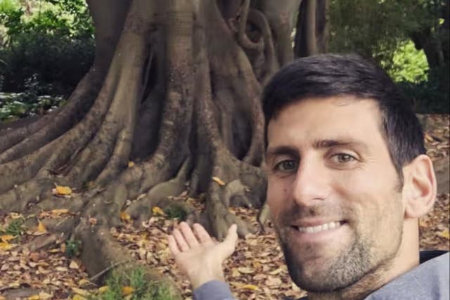 <p>Novak Djokovic in the Botanical Gardens in Melbourne</p>