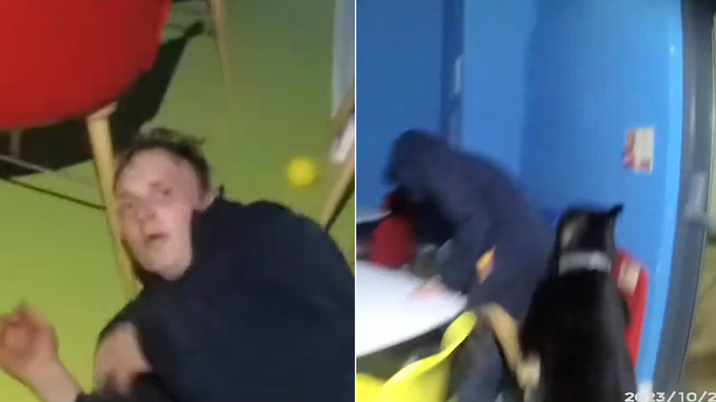 <p> Watch police dog hunt down burglar hiding in children’s soft play area.</p>