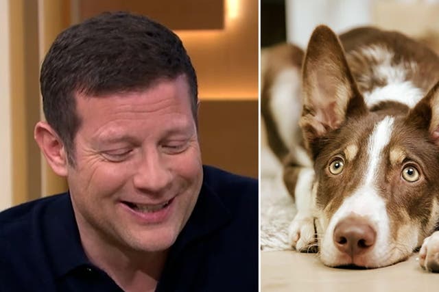 <p>This Morning’s Dermot O’Leary struggles to keep straight face during dogs ruining sex life discussion.</p>