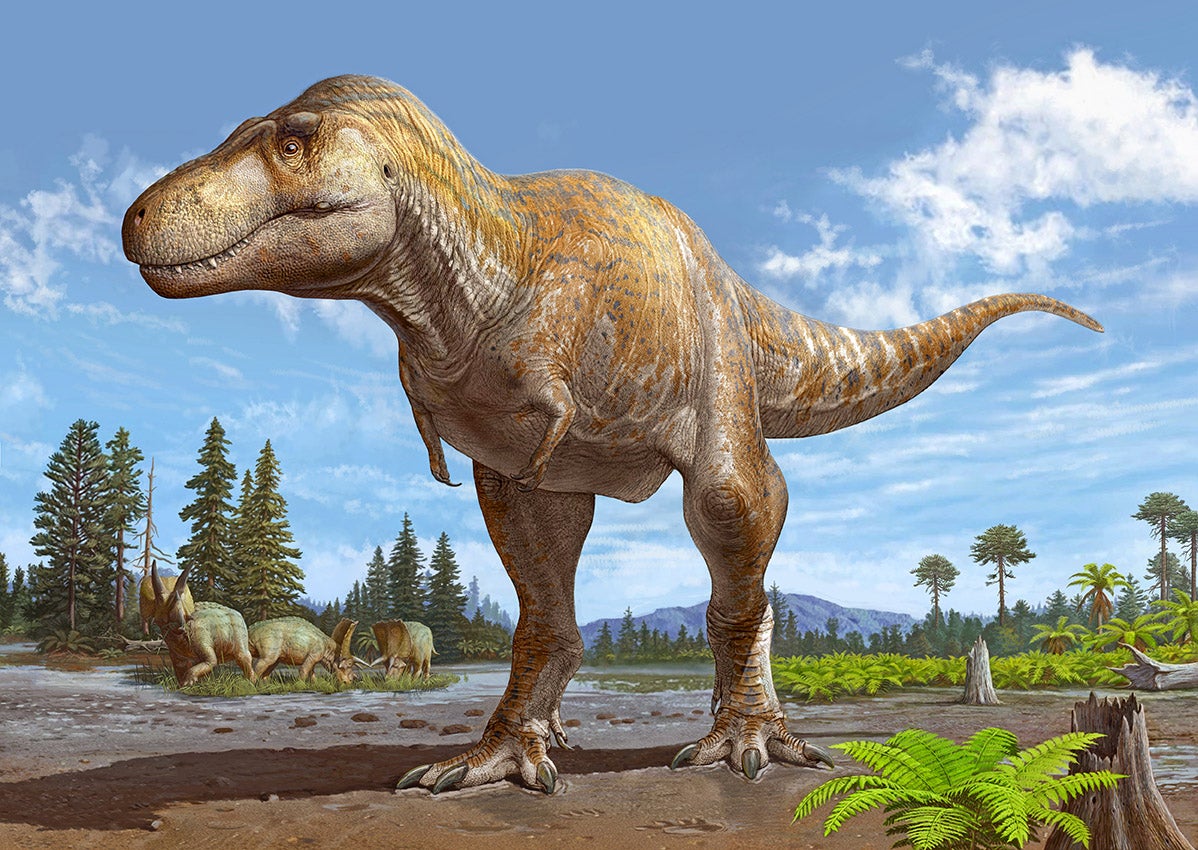 <p>An artist impression of <em>Tyrannosaurus mcraeensis</em>, believed to have come before the T rex</p>