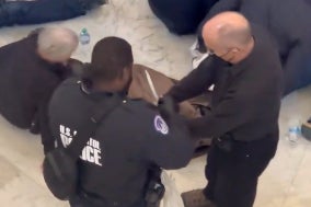 <p>More than a hundred Mennonites were arrested at the US Capitol while calling for a ceasefire in Gaza</p>