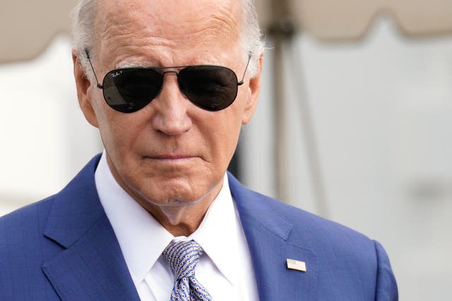 <p>Fake Biden tells voters not to turn up at polls on Tuesday</p>