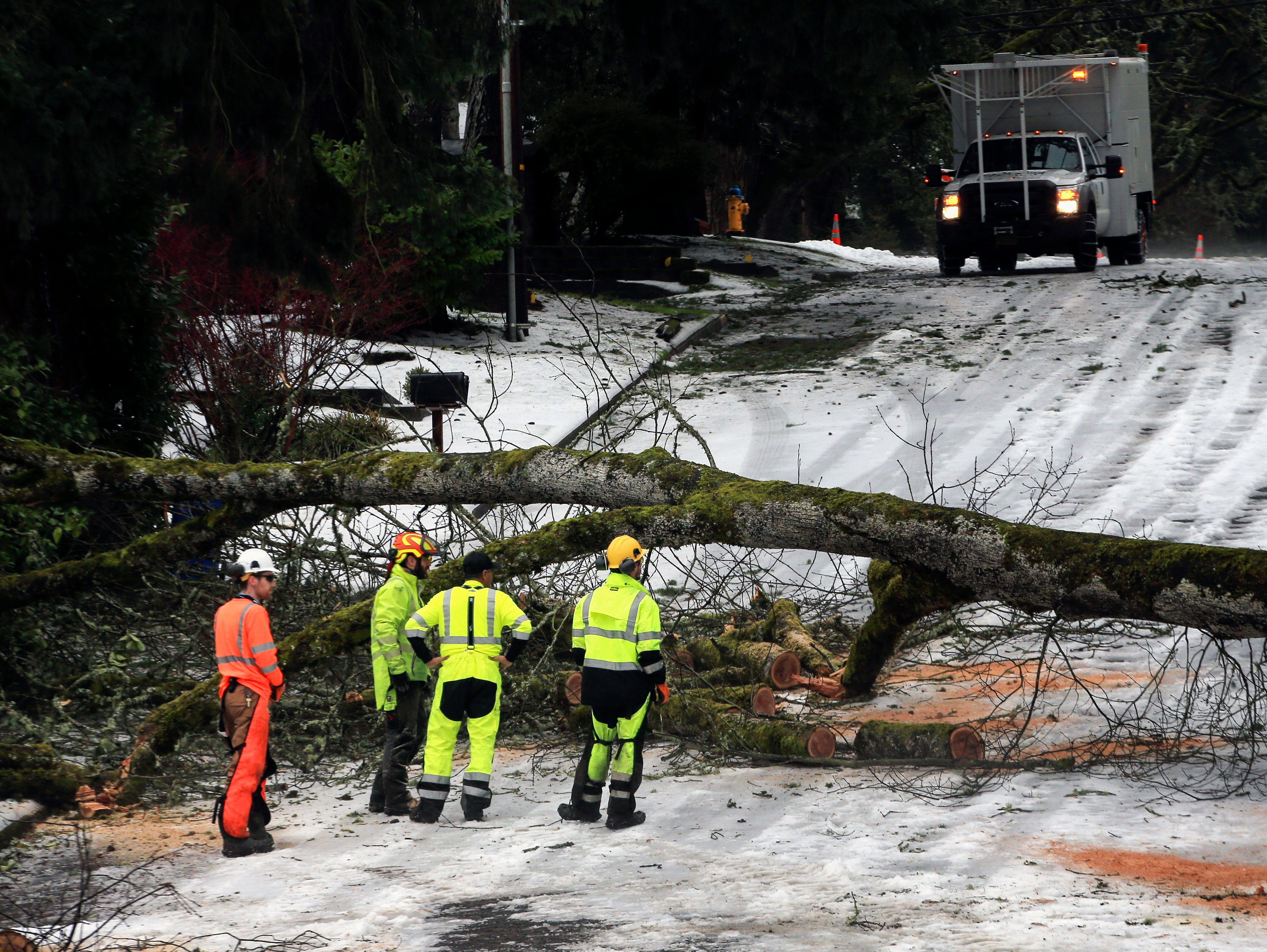 A downed tree in Oregon following an ice storm