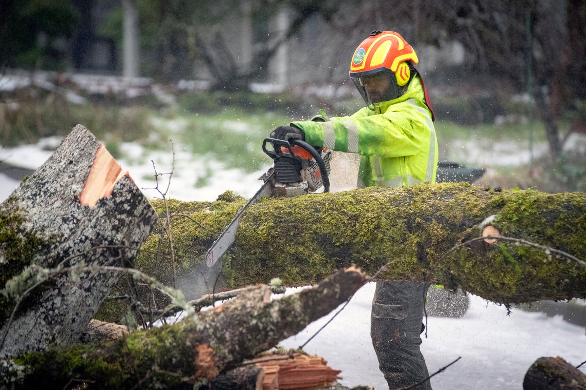 14 confirmed dead due to Tennessee winter storm, as Oregon reels from deadly barrage of ice