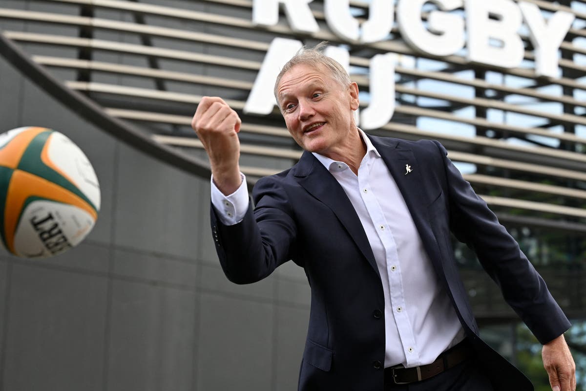 Ex-Ireland boss Joe Schmidt announced as new Australia coach to replace Eddie Jones Ex-Ireland boss Joe Schmidt announced as new Australia coach to replace Eddie Jones