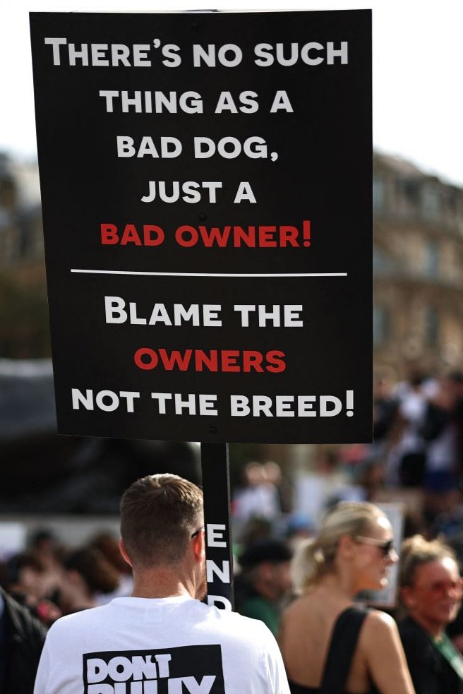 An XL bully supporter attends an anti-ban protest in London in October 2023