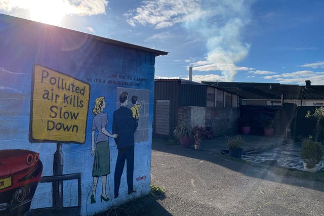 <p>A mural painted on a garage in a Port Talbot neighbourhood under the shadow of the town’s steelworks. It replaces a Banksy piece which has since been moved to England.</p>