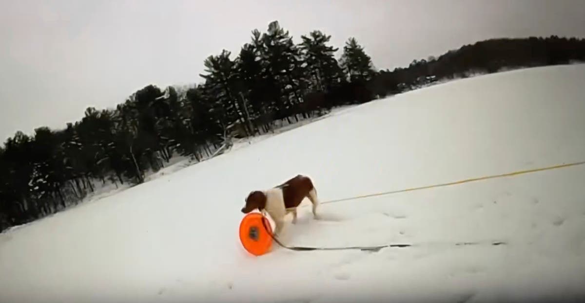 Michigan man saved from icy lake as officer uses man’s dog to deliver rescue gear