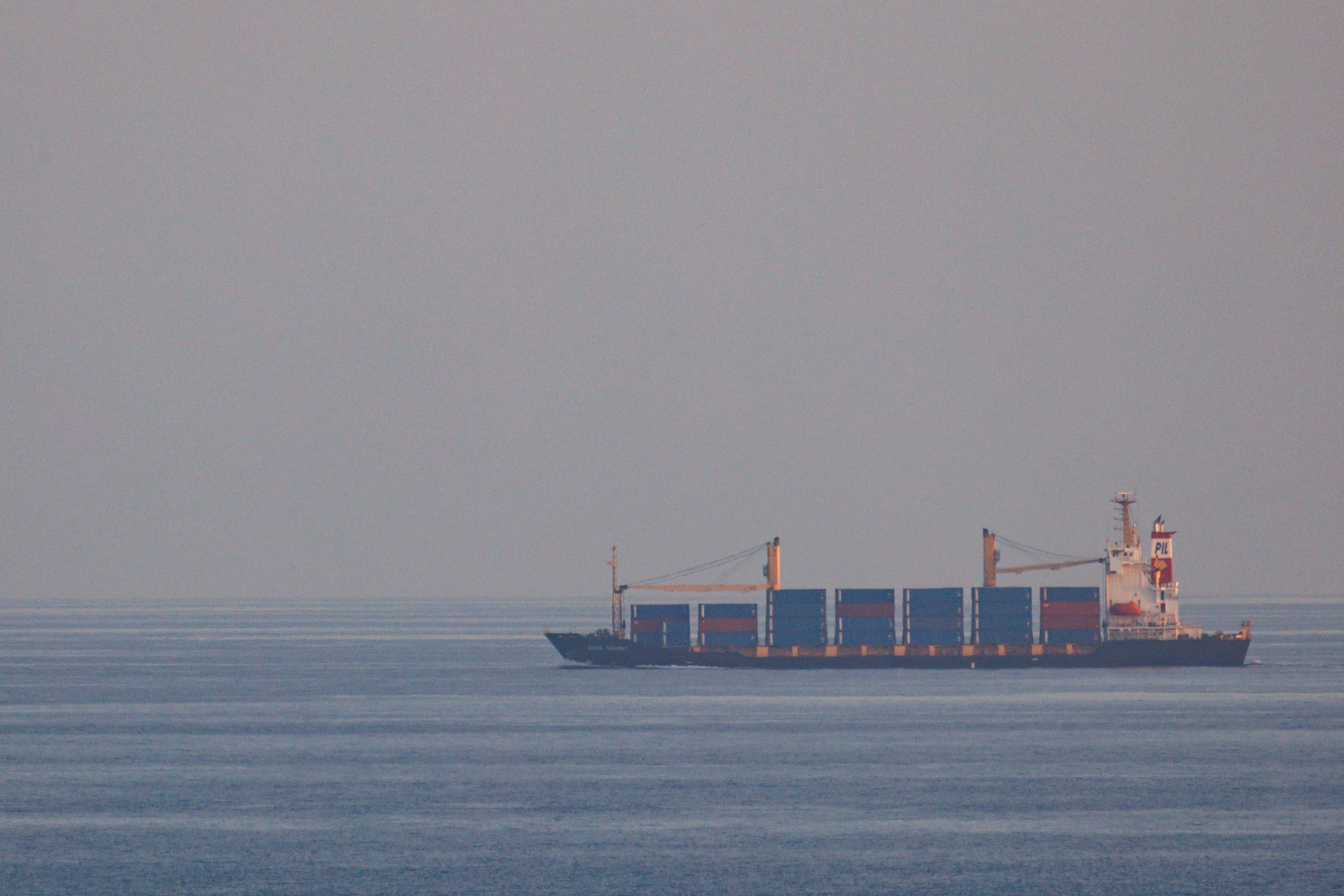 File photo: A container ship in the Gulf of Aden