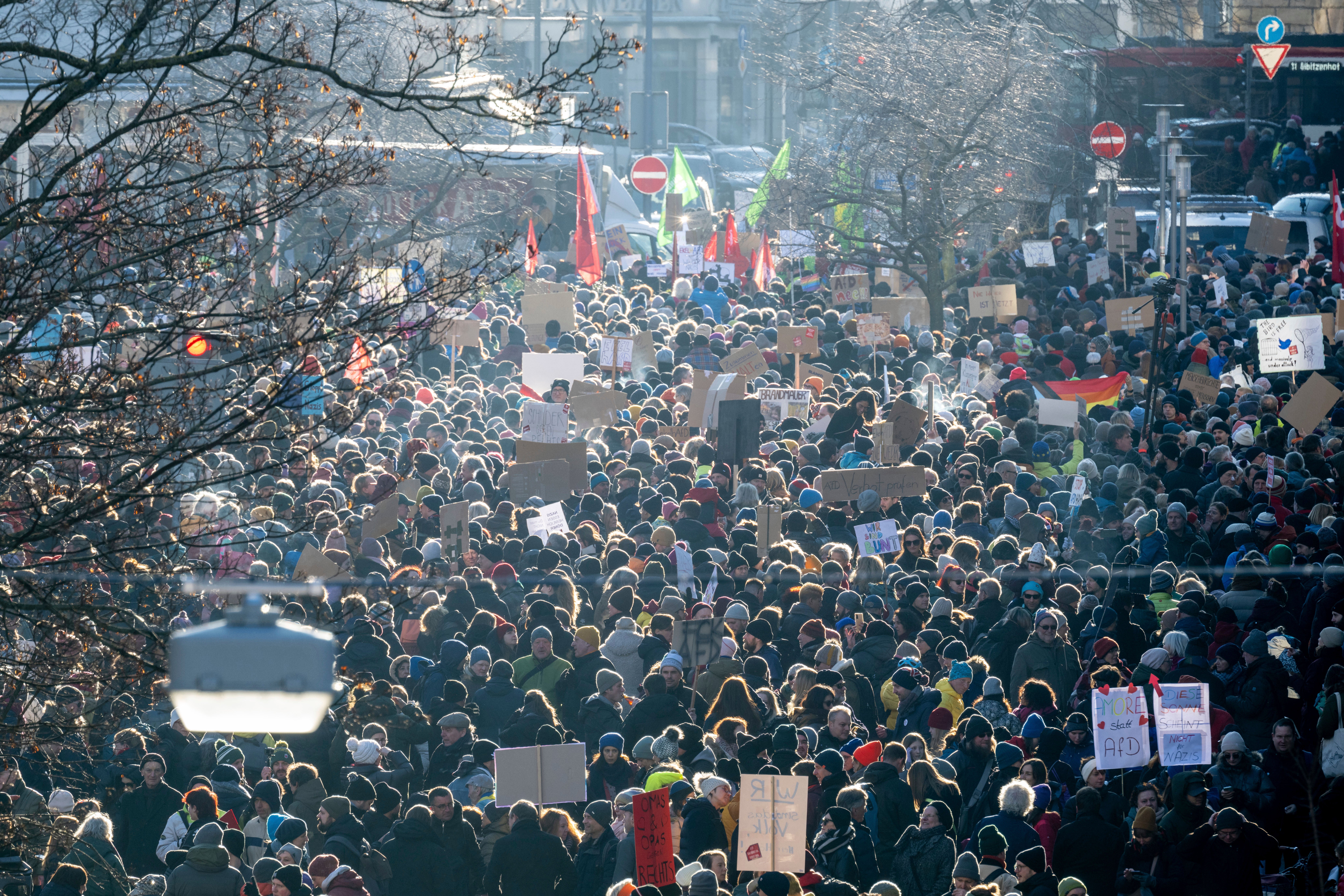 Germany Protest