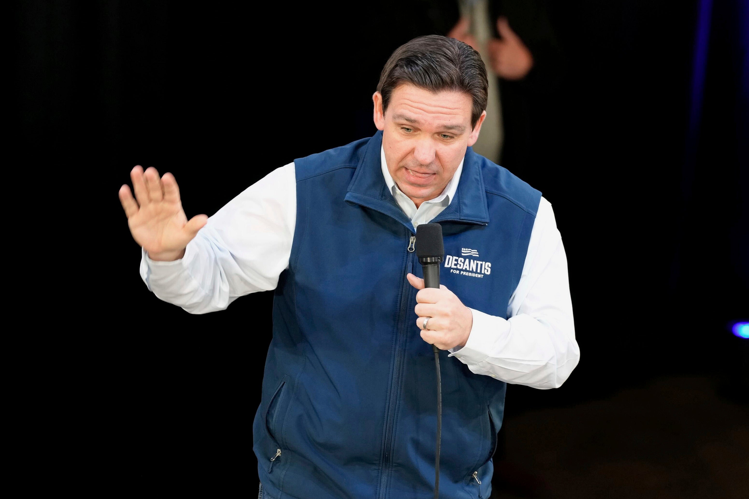 Election 2024 DeSantis