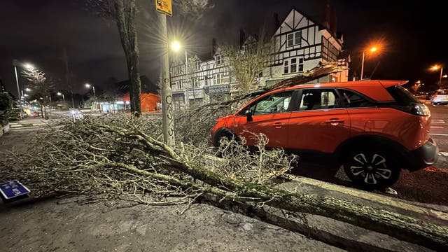 <p>A tree branch fallen on a car on Lisburn Road in Belfast during Storm Ish, which saw up to 90mph winds across the UK</p>