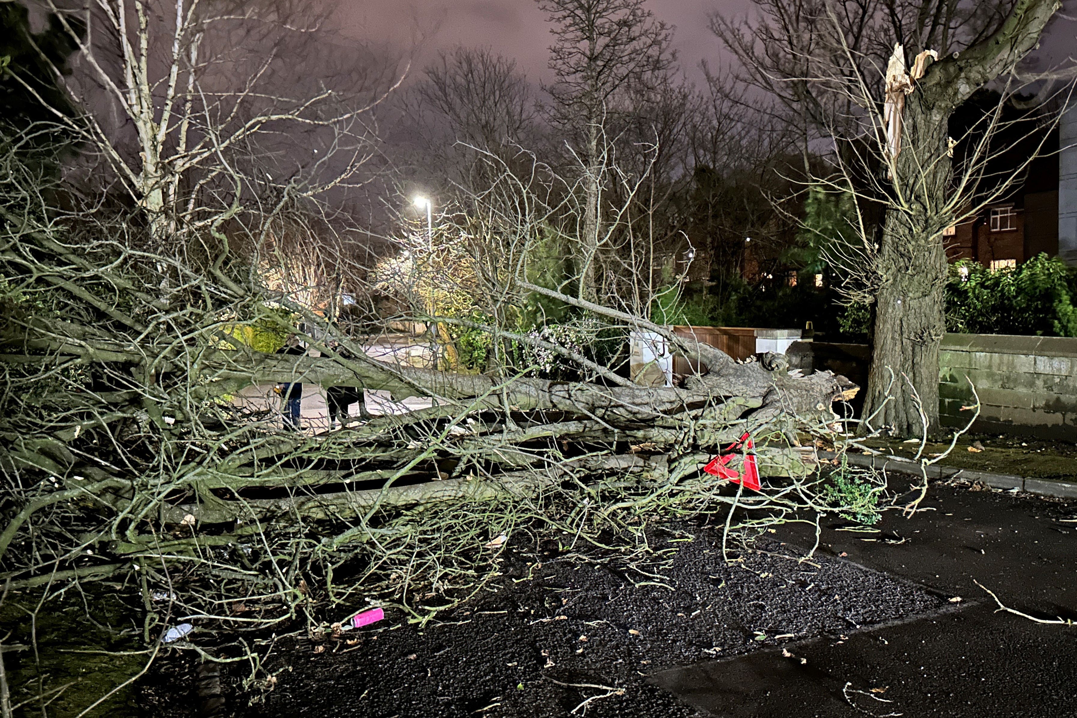 A tree branch fallen on Notting Hill road in south Belfast during Storm Isha (Liam McBurney/PA)