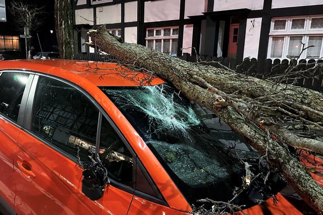 Thousands of people have been left without power as Storm Isha brought disruption to electricity and transport networks (Liam McBurney/PA)