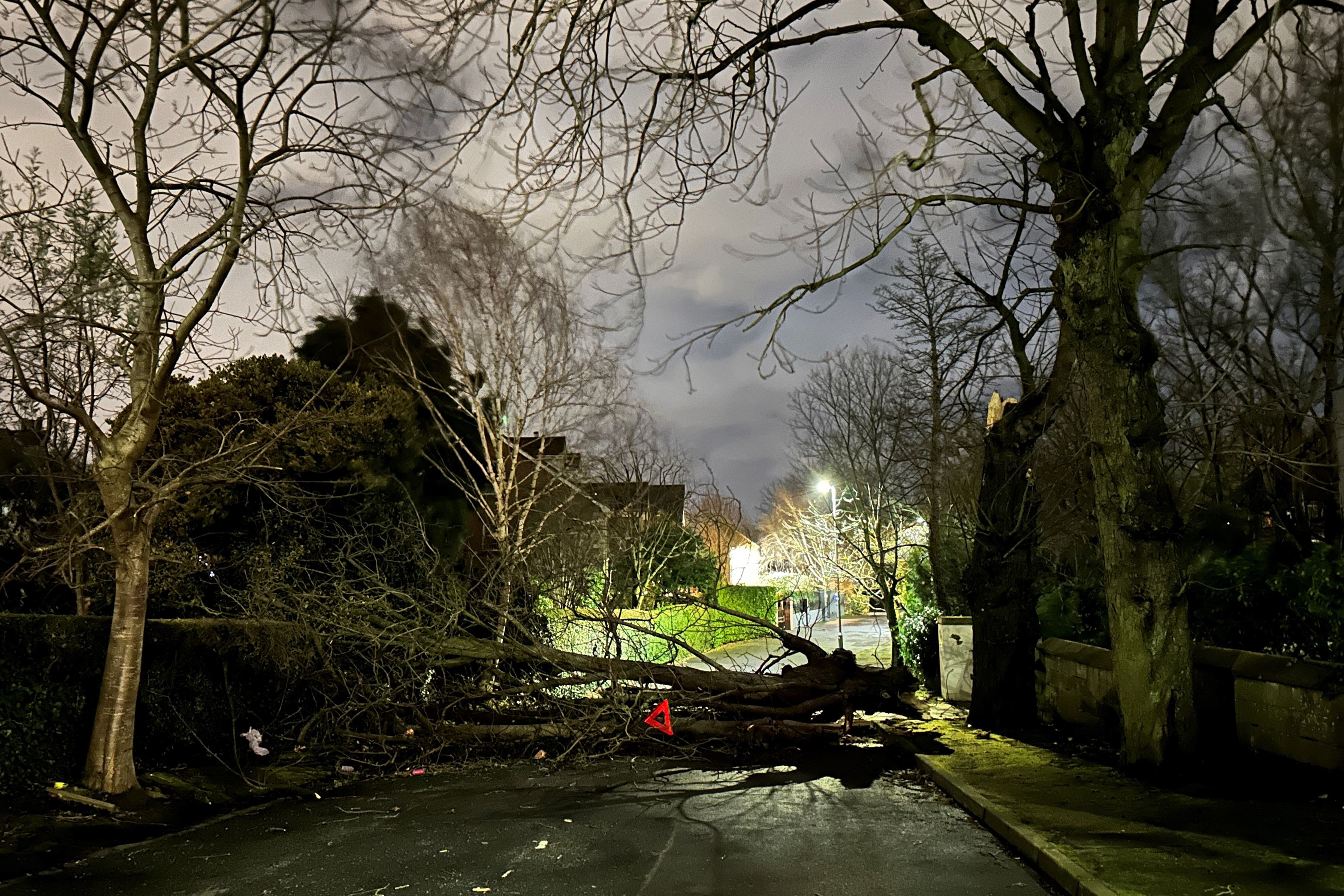 A tree branch on Notting Hill road in south Belfast during Storm Isha (Liam McBurney/PA)