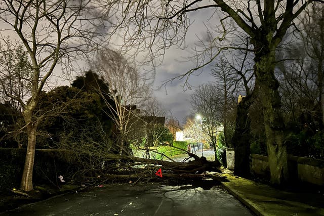 A tree branch on Notting Hill road in south Belfast during Storm Isha (Liam McBurney/PA)