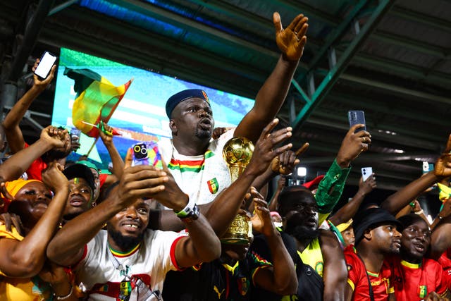 <p>Guinea supporters cheer during their Afcon match against Gambia</p>