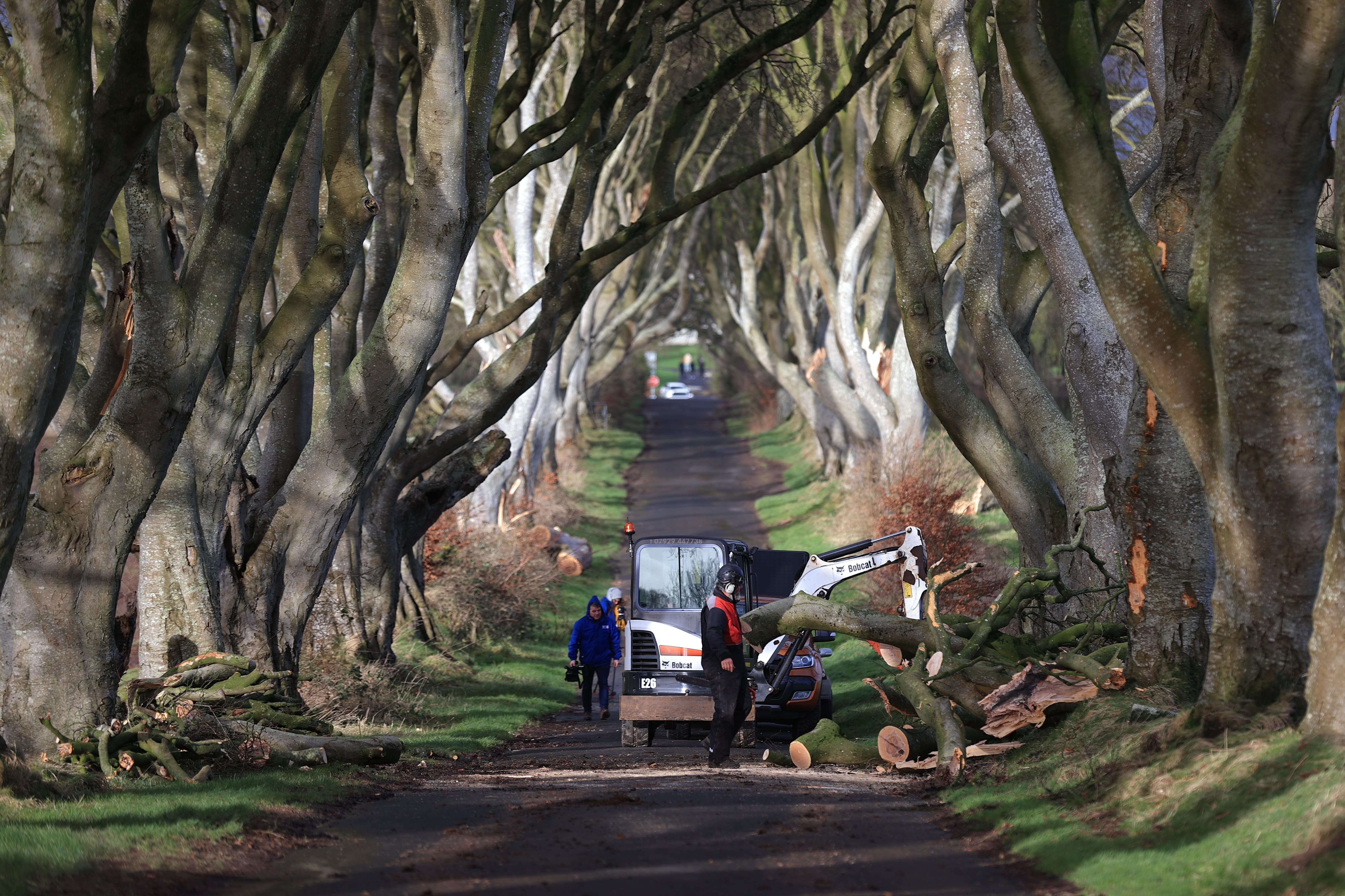 Workmen continue their clear up as a number of trees in Northern Ireland made famous by the TV series Game Of Thrones have been damaged and felled by Storm Isha (Liam McBurney/PA)