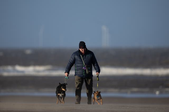 <p>Experts from Raigmore Hospital in Inverness and Sengkang General Hospital in Singapore said that hand and wrist injuries linked to dog walking are an “understudied topic”  </p>