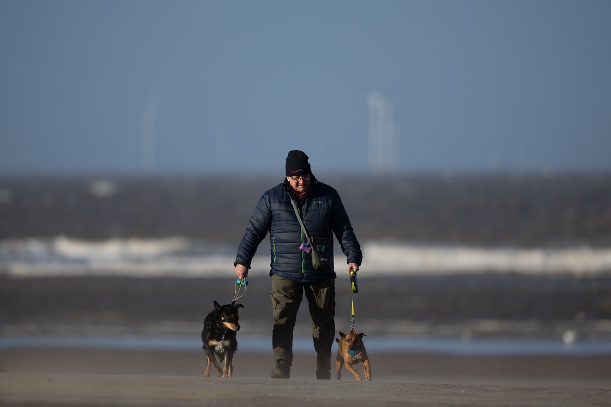 The staggering cost of injuries sustained by dog walkers every year