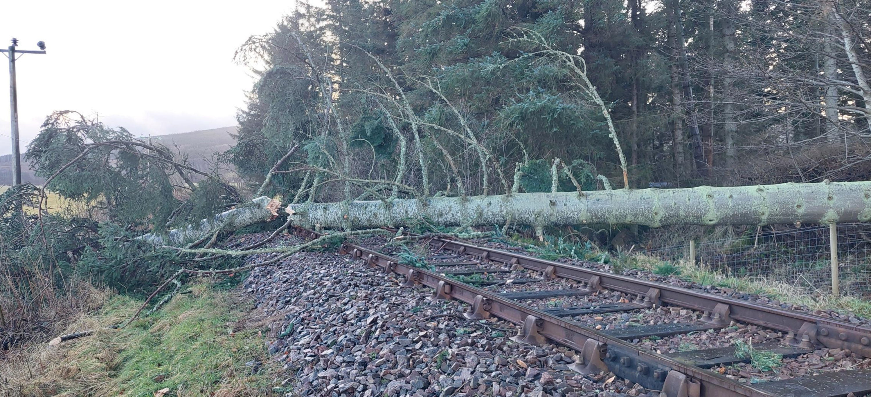 ScotRail has been dealing with fallen trees on railway tracks. It announced on Monday afternoon that all services will be suspended from 7pm on Tuesday.