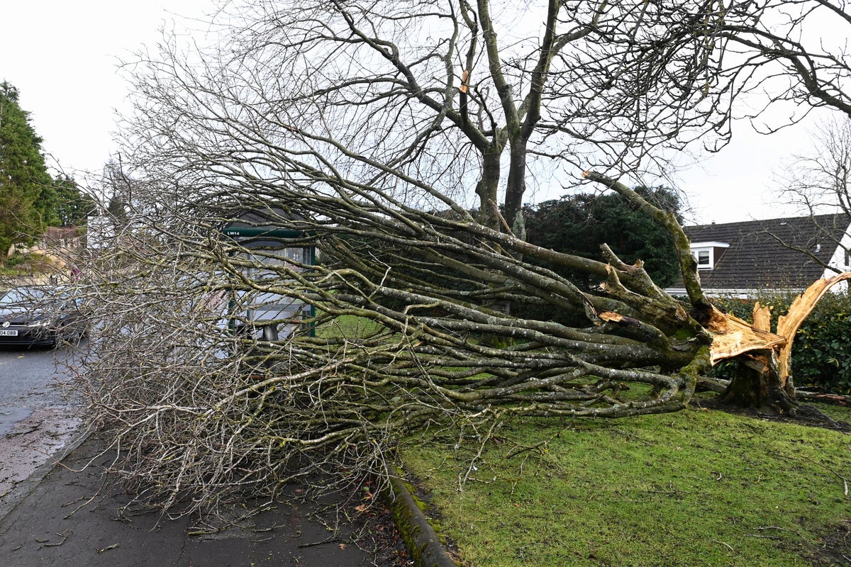 Storm Jocelyn to bring 80mph winds after Isha wreaks havoc across UK ...