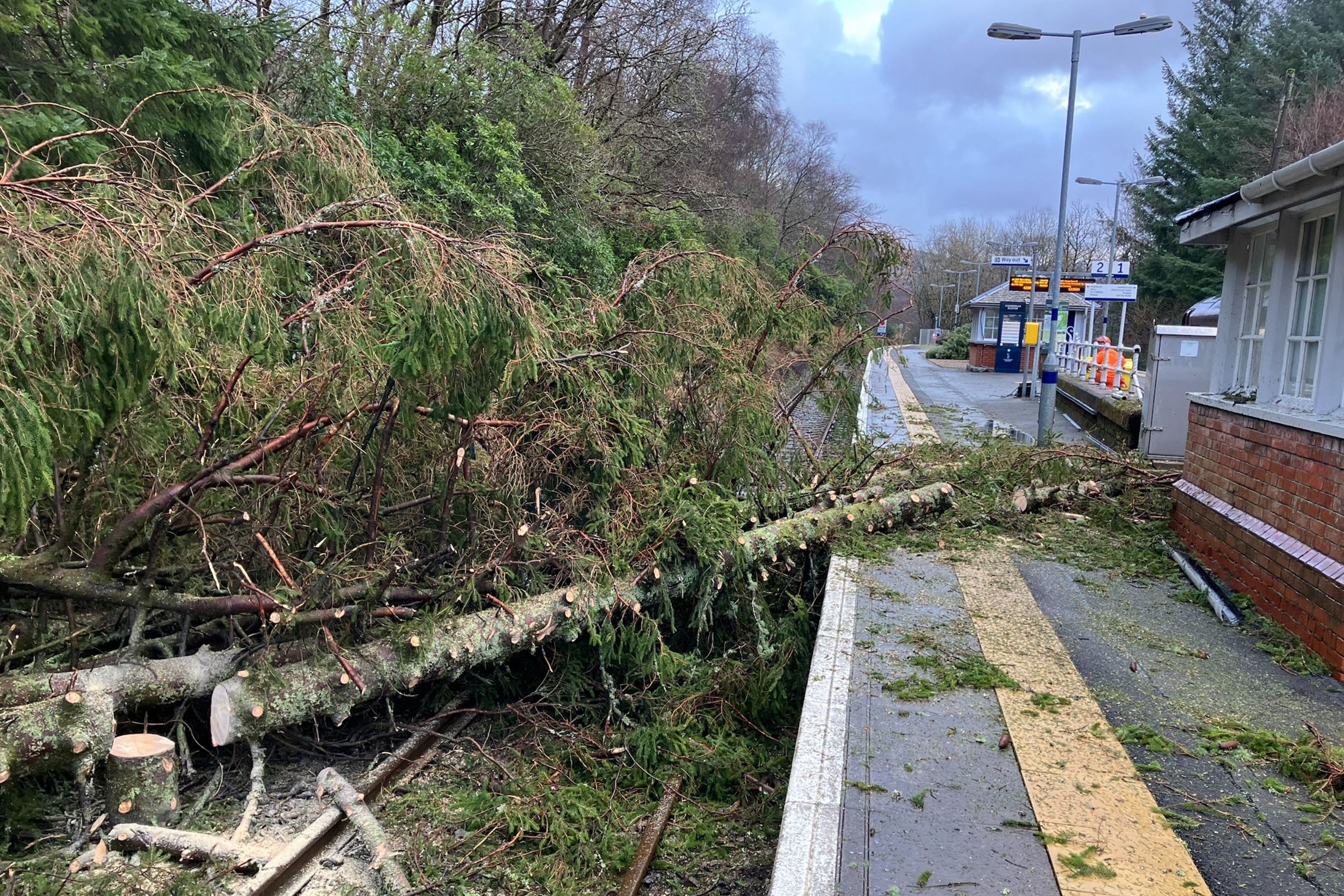 A fallen tree on the line at Arrochar & Tarbet (Network Rail Scotland)