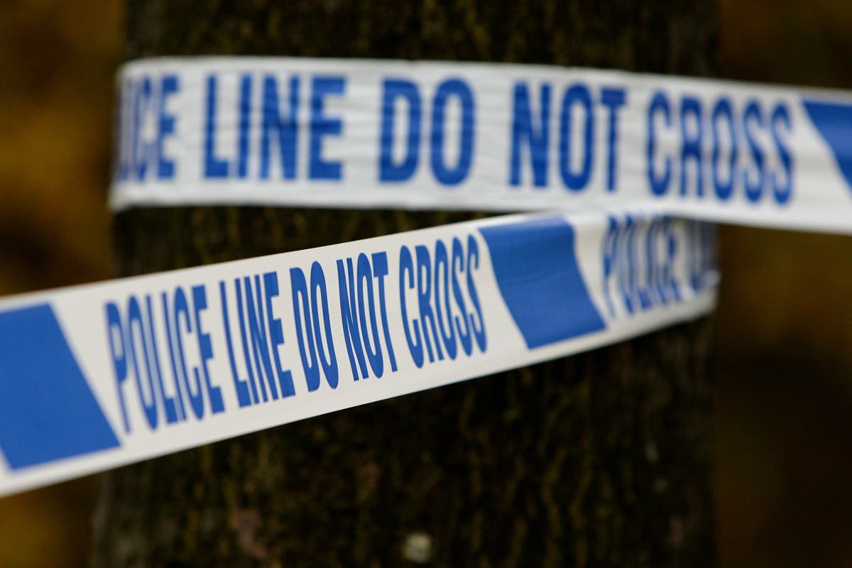 Murder probe after two teenagers stabbed to death in Bristol