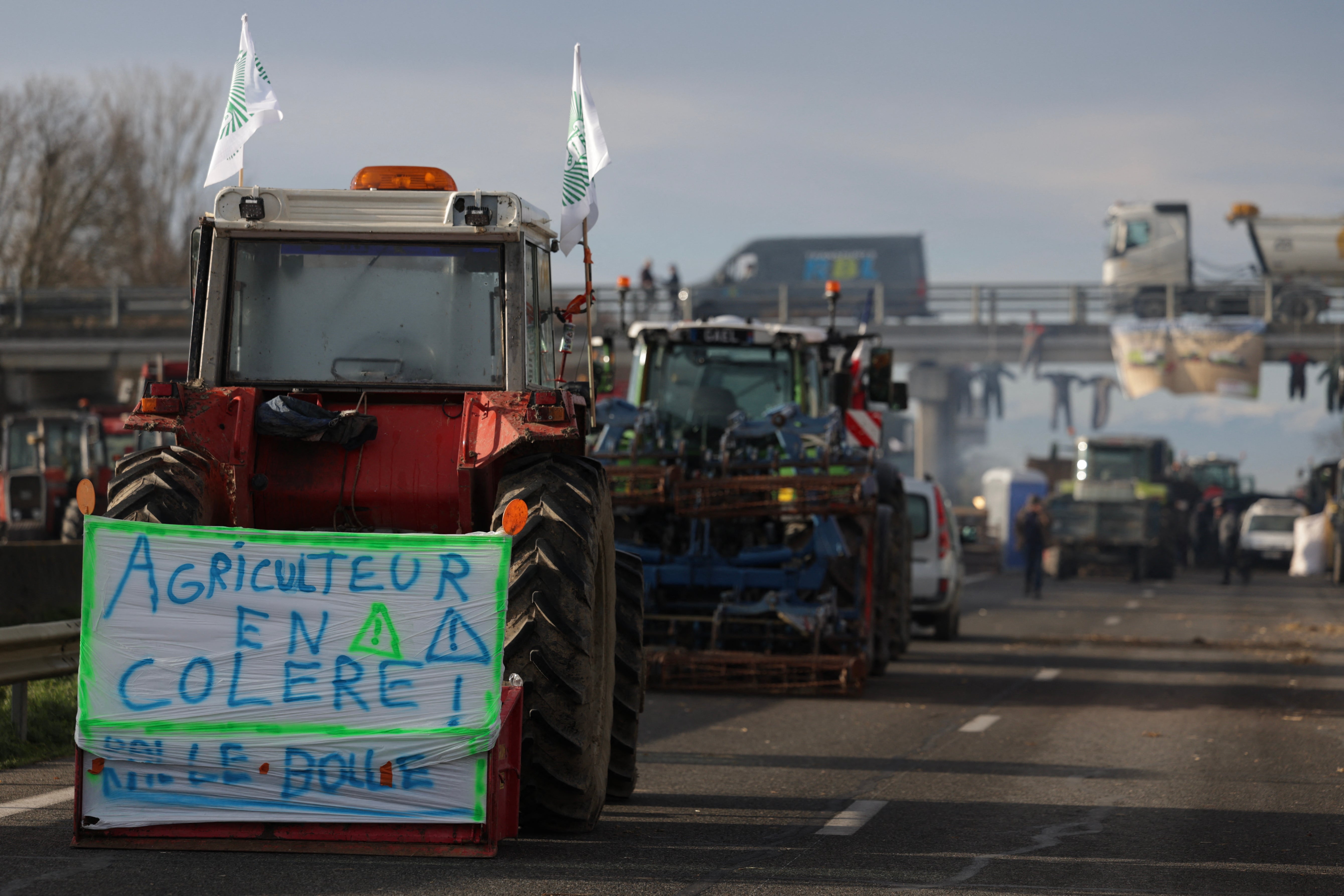 A woman has died after a car hit a roadblock set up by protesting farmers in France