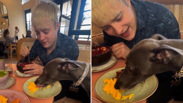 <p>Gemma Collins shares video of her dog sat at restaurant table tucking into full meal.</p>