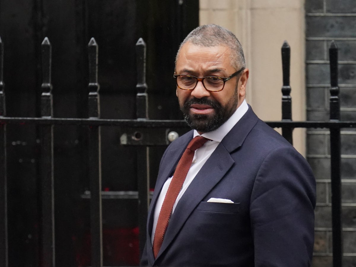 ‘Foolish’ for Tory party to indulge in infighting, says James Cleverly